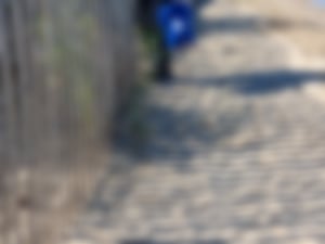 Terrapin Beach - World Clean Up Day__20240110141959.jpeg